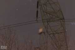 Z112_niepokolczyckiego-16-kopia