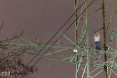 Z112_niepokolczyckiego-21-kopia