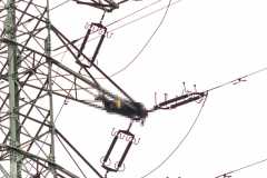 Z112_korczoka-1-kopia